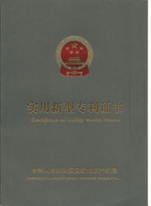 黑客资质验证图