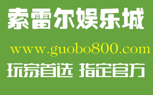 成功追款案例